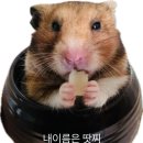 옹스컴퓨터