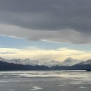 5737 | 테카포 맛집] 페어리 베이크하우스 fairlie bakehouse 미트파이 음식 추천 (ft. 구글리뷰가 5737개라니)