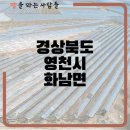 포도밭1길 이미지