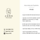 고유하리