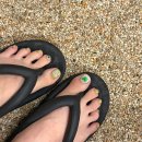 네일무이(NAIL MOOI) | 대구 여름 네일패디 추천, 손그림 아트가 예쁜 네일무이