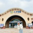 신북약국 | 서울 근교 온천 경기도 포천 신북온천 스프링폴 찜질방 준비물 이용권 할인