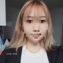 JOO 강아지미용실 | 탈색 후 녹은 머리 칼단발 커트 후기