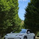 라이언모터스 | 반값 전기차 가능할까? BYD 씨라이언7 보조금과 차량 분석 전부 공개