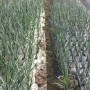 북두농장 이미지