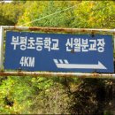 부평초등학교 신월분교 이미지