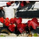 주안서로 이미지