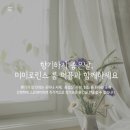미미룸 이미지