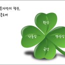 클로버 이미지