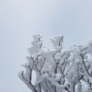 설화 이미지