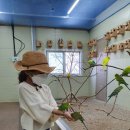 새엄지목장 이미지