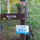 운봉읍 매요마을 이미지