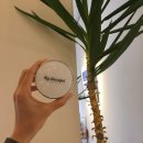 (주)더메리트 이미지