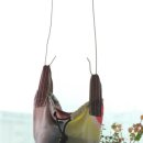 로즈마리세탁소 이미지