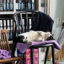 현동모터스 이미지