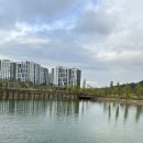 호암생태공원(버스킹 공연장) | 대전 추석연휴 가볼만한 곳 - 남녀노소 모두가 즐거운 곳 갑천생태호수공원 개장