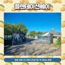 더달다 이미지