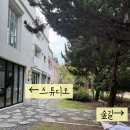 스튜디오 모 | 부산 가족사진 스튜디오 가족사진 가격 오모스튜디오 후기