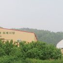 민영청과 네이버블로그