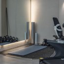 피티올로지 이미지