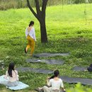 명상요가 | IMOK YOGA_전주요가_전주만성동요가_전주혁신도시요가_전주명상_전주야외요가_OUTdoor yoga 후기