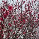 로즈마리펜션 이미지