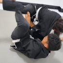 가오리주짓수 네이버블로그