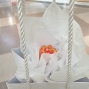 프레쉬가든 이미지