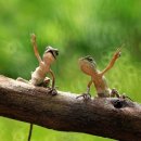 백신고등학교 이미지