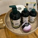 릴렌하우스 이미지