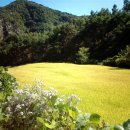 포인트24 이미지