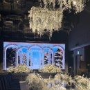 Luce | 대전 오노마 웨딩 쇼케이스 2024 Wedding Showcase Luce Viva 후기