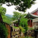 동화사 이미지