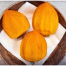 성준농장 이미지