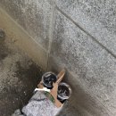 지구촌미용실 네이버블로그