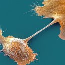 CW-1861-01 이미지