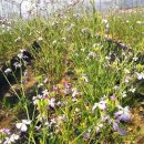 한국한의원 이미지