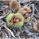 성포농장 이미지