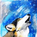 The Call of the Wild 이미지