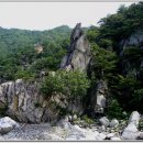 계곡농협주유소 이미지