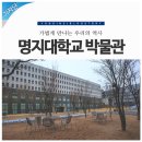 [용인 박물관] 용인대 박물관의 아쉬움을 명지대 박물관에서 특별함으로-