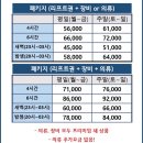 샾MZ | 비발디파크 퀄리티 있는 렌탈샵 샾MZ 후기/가격, 사이즈 팁, 착용샷