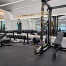 더 골드짐 이미지