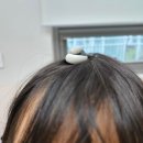 헤이제이 | <수원 논술학원> 헤이제이 유아·초등 저학년 국어 논술 수업 후기 - 8월 활동🌷