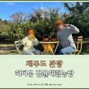 다정농장 | 제주 관광, '히피웅 감귤체험농장'