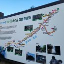왕실봉민박 티스토리