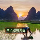 렉스어학원 | 강남 대치동 대치 영어학원 어학원 렉스김어학원 열정적인 선생님과 함께하는 영어 학습