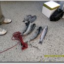 망치해수욕장 이미지