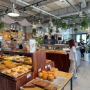 (유)미래렌트카 이미지