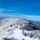 1월 산행지 추천합니다. 이미지